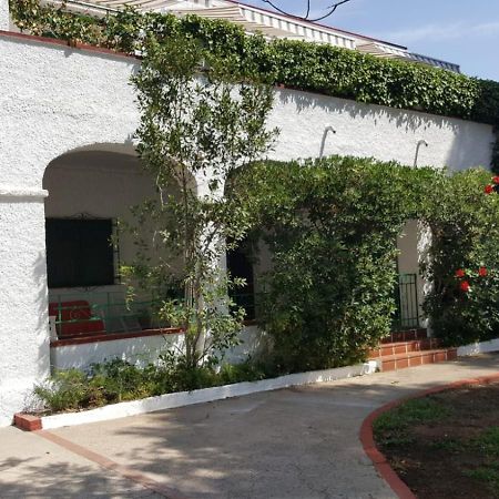 Villa Feli 3 Benicàssim Eksteriør billede
